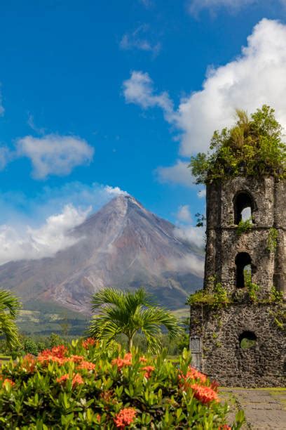 730+ Mt Mayon Stock Photos, Pictures & Royalty.